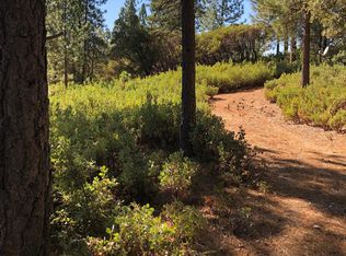 20427 Ponderosa Way, Fiddletown, CA 95629