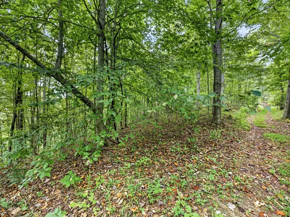 0 Timber Ridge Ln Lot 29, Celina, TN 38551