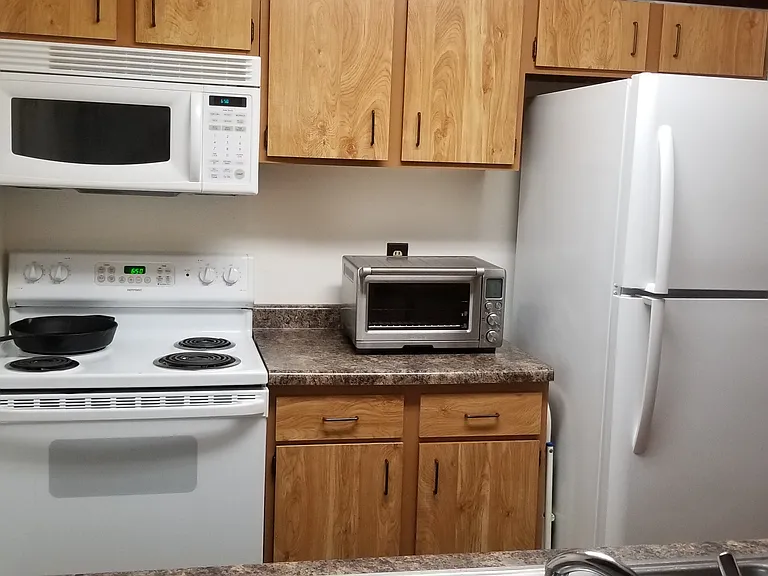 Kitchen with microwave, stove, oven, fridge and dishwasher (the latter not shown).