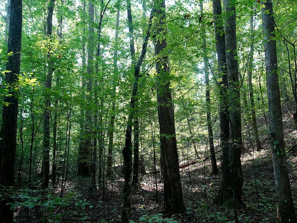 1st image of 2 Ables Rd