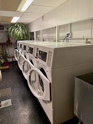 Rented by Green Line Realty | media 10