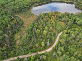 307 Maggie Lakes Trl, Iron River, MI 49935