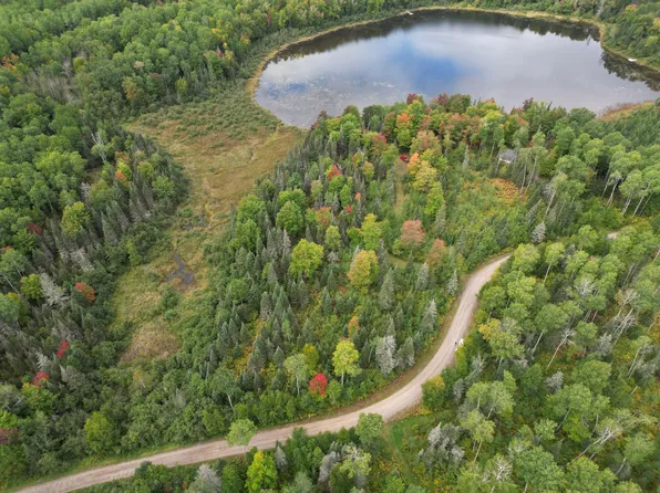 307 Maggie Lakes Trl, Iron River, MI 49935