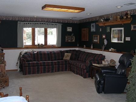 Lower level family room