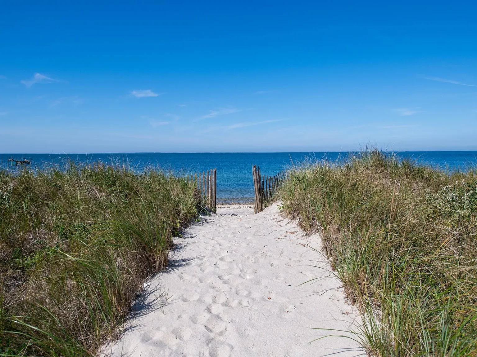 Life On The Beach — Photo 4