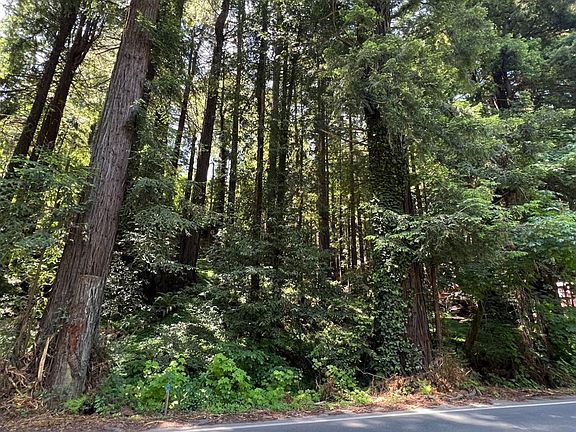 3rd image of 785 Cazadero Hwy