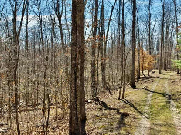 Watts Dr, Lewisburg, WV 24901