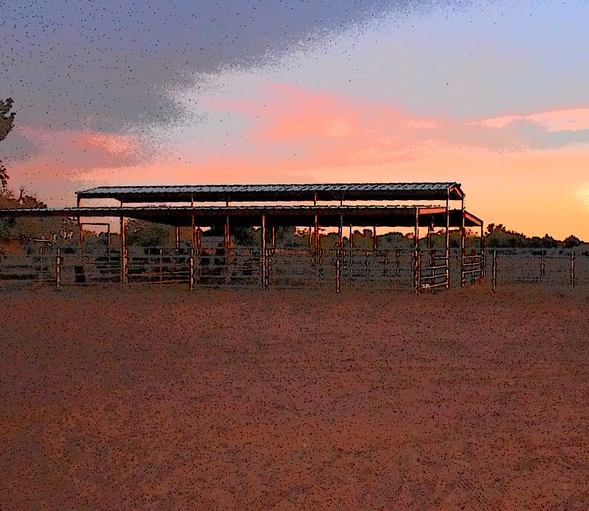 6 stall covered breezeway 