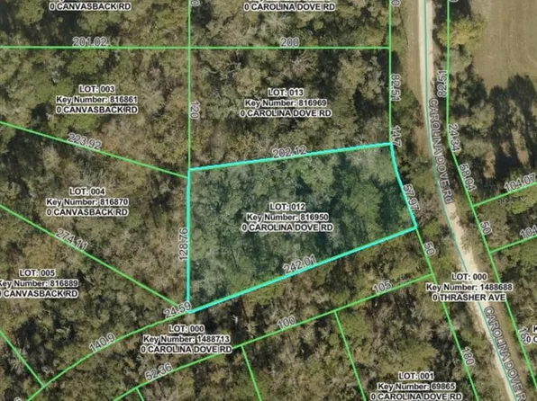 LOT 12 Carolina Dove Rd Lot 12, Brooksville, FL 34614