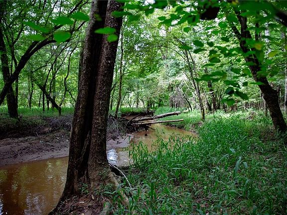 4th image of 1121 Pintail Ln Lot 0