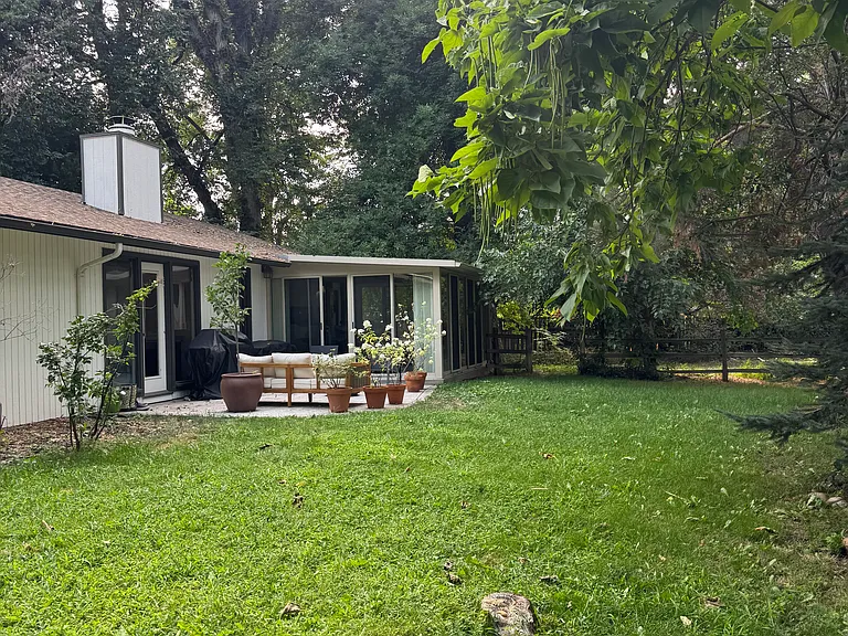 Back yard