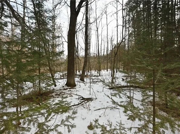 0 1st Street, Trego, WI 54888