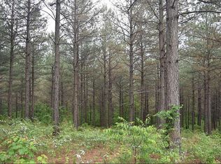 Reece Mountain Rd #41, Ellijay, GA 30536