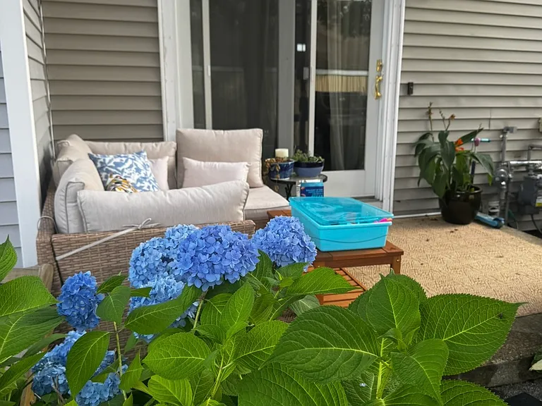 patio w/ professional landscaping