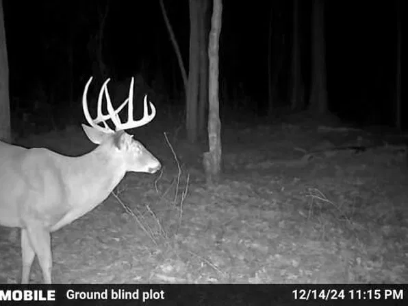 0 Sam Bradley Rd, Americus, GA 31709