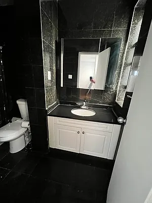 Rented by Manhattan Dwelling Corporation | media 11