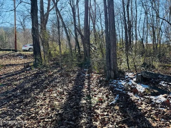 0 Pilgrim Cir, Cosby, TN 37722