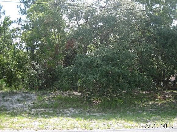 1st image of 7253 N Cricket Dr