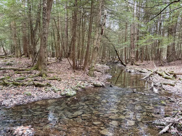 154 Walker Rd, Nineveh, NY 13813