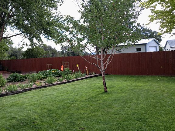 Backyard & garden area