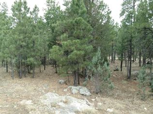 2506 San Juan Dr, Happy Jack, AZ 86024