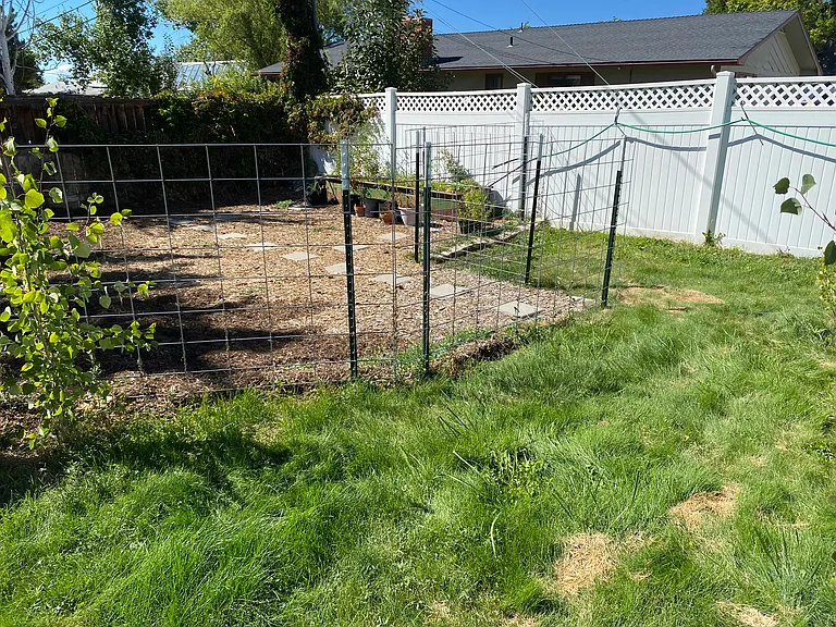Backyard garden space.
