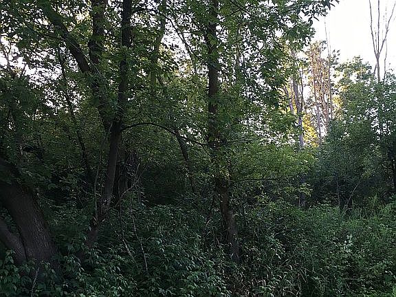 3rd image of 142 Avenue
