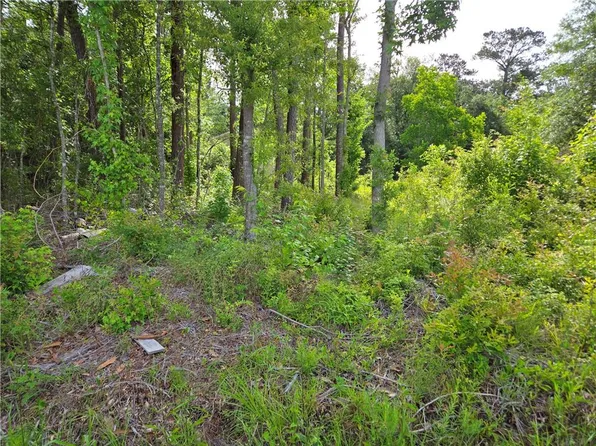 Daisy St, Covington, LA 70435