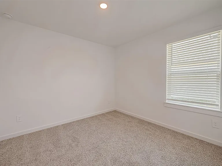 1018 Fringed Bluestar Dr — Photo 25