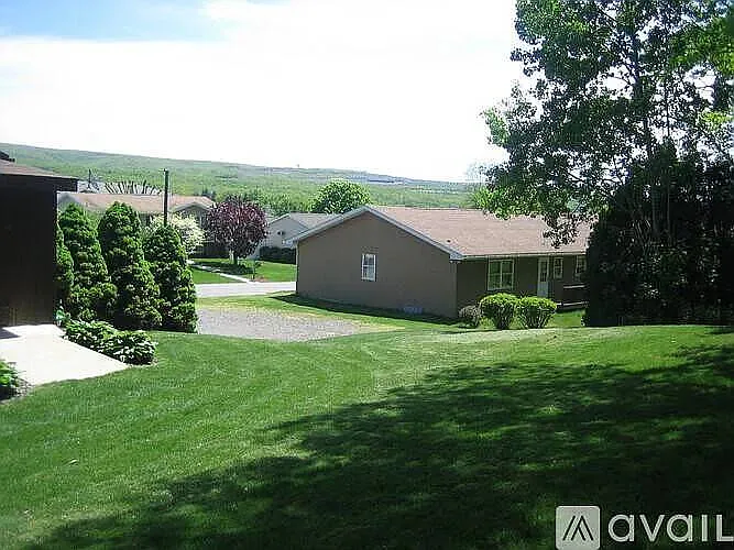 Shared Yard