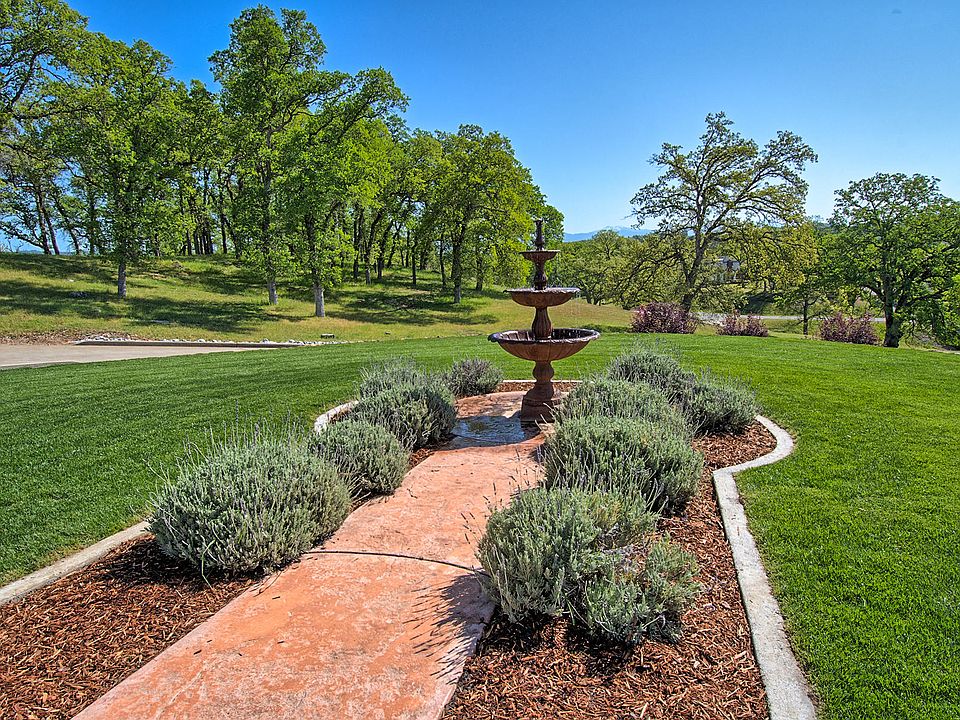 12670 River Hills Dr Bella Vista CA 96008 Zillow anna-s-hummingbird-from-bella-vista-ca-usa-on-august-19-2023-at-07