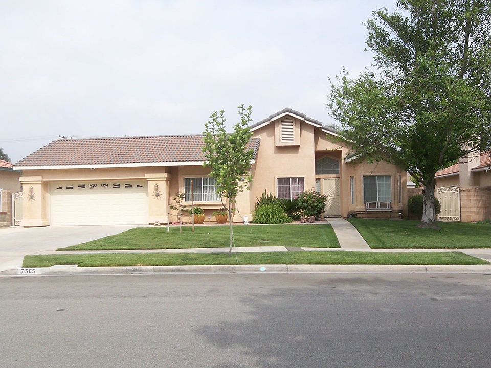 Front view