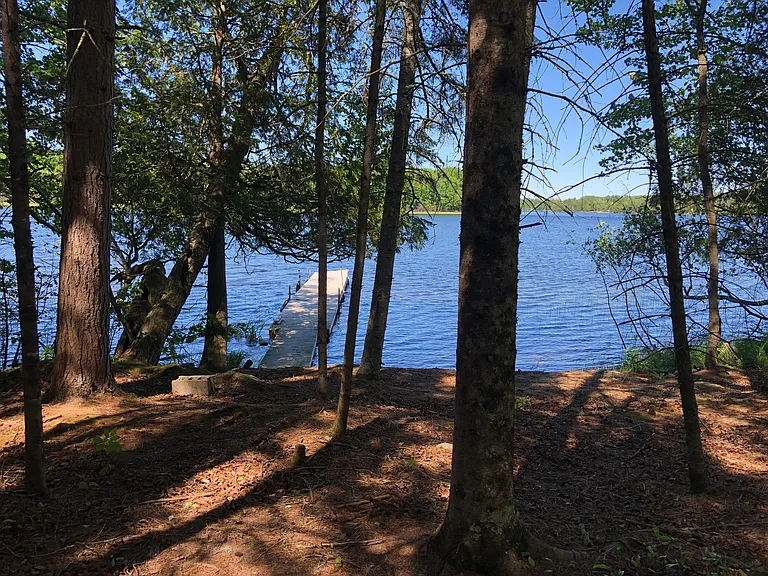 52908 Brush Shanty Lake Rd — Photo 7