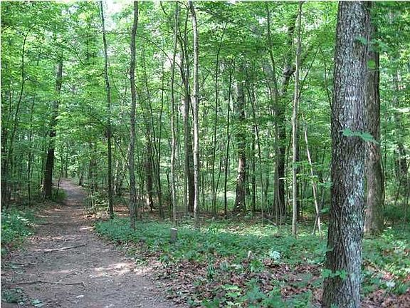 Some lovely hardwoods