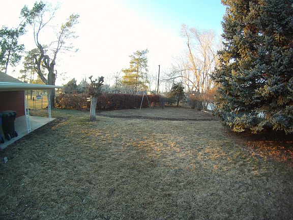 Back yard 