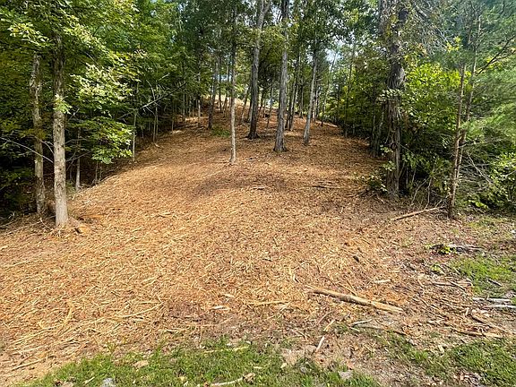 2nd image of 85 Stone Bridge Dr Lot 85