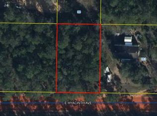 0 E Hyacinth Ave, Defuniak Springs, FL 32433