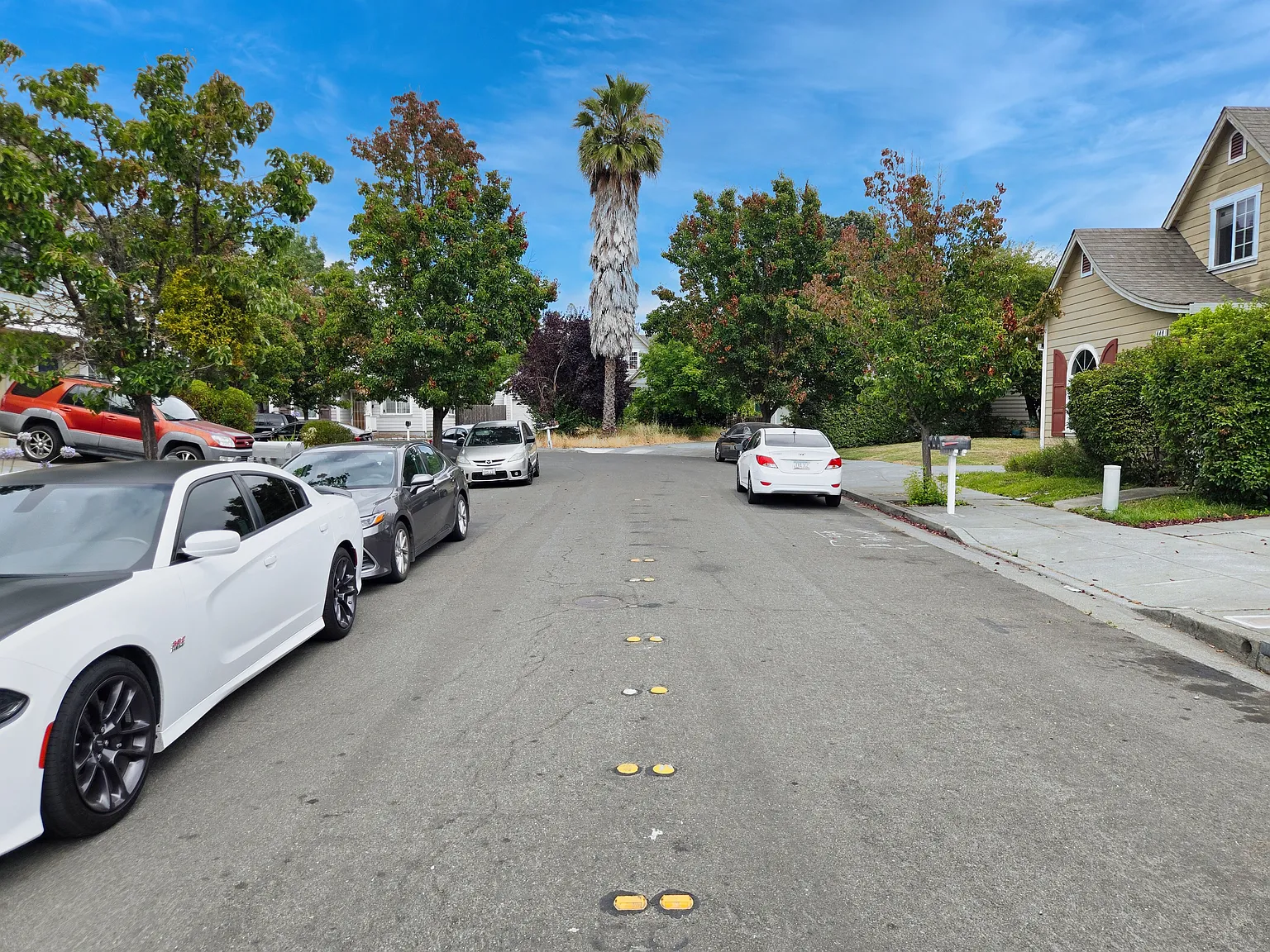2 bed, 800 sqft, $3,500 — Photo 3