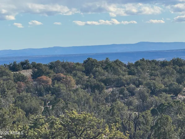 Lot 93 Red Sky Ranch -- #93, St Johns, AZ 85936