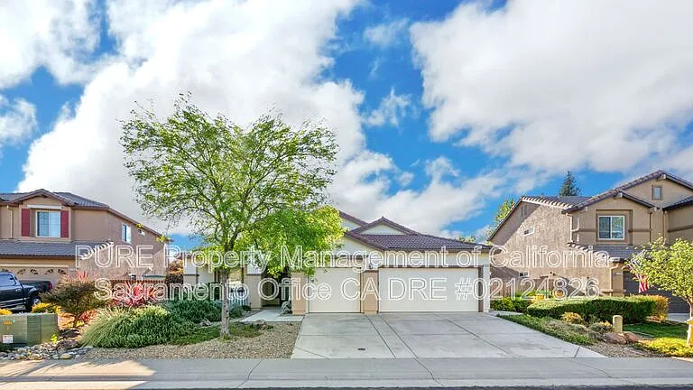 1732 Bamboo St — Photo 34
