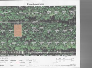 409 Palm Way, Georgetown, FL 32139