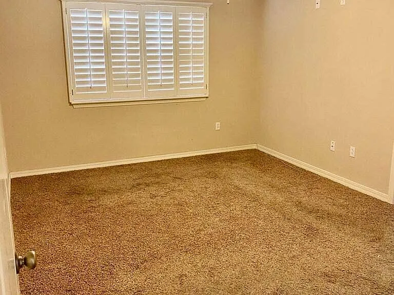 7334 Prickley Pear Dr — Photo 8