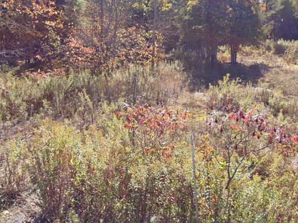2nd image of 82 Glen Ridge Rd