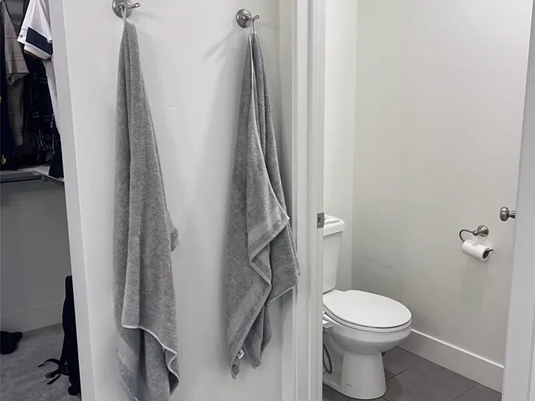 Master toilet