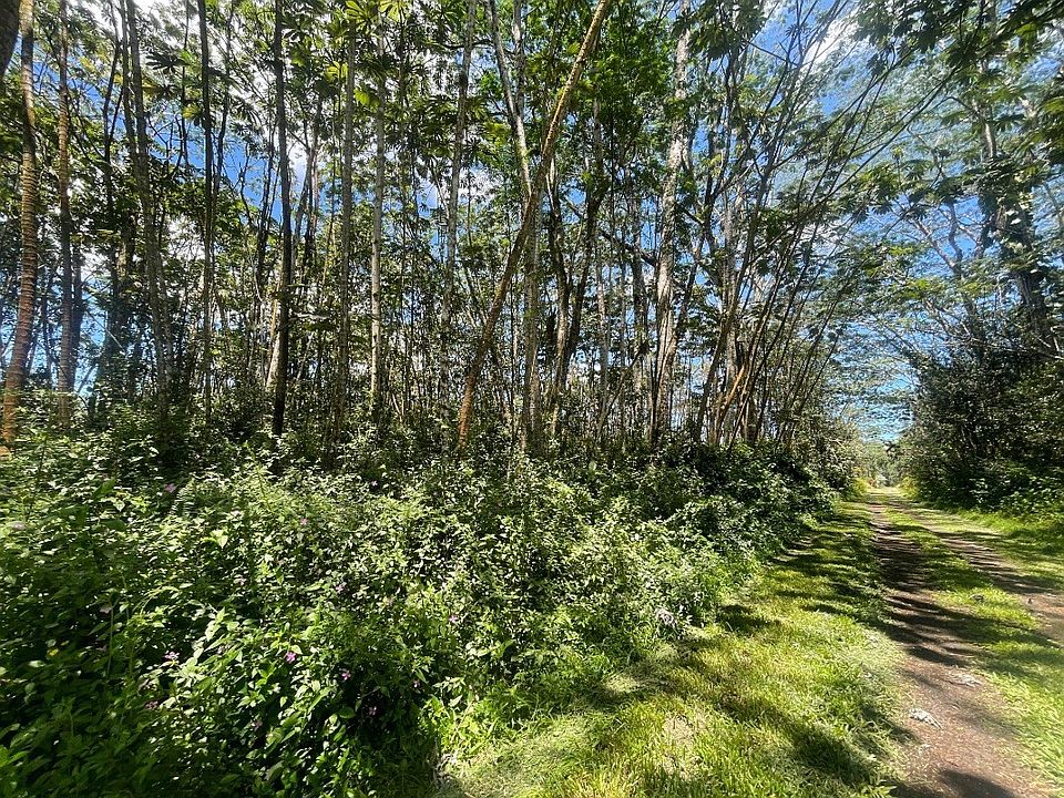 2nd image of Plumeria Rd Lot 172