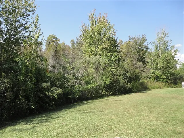 3213 Dunstable Dr — Photo 19