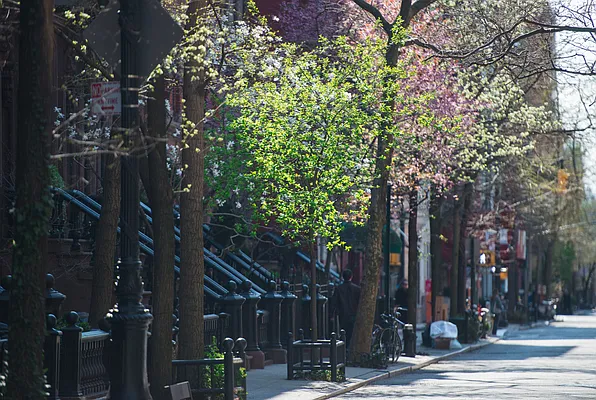 Rented by Compass | media 23