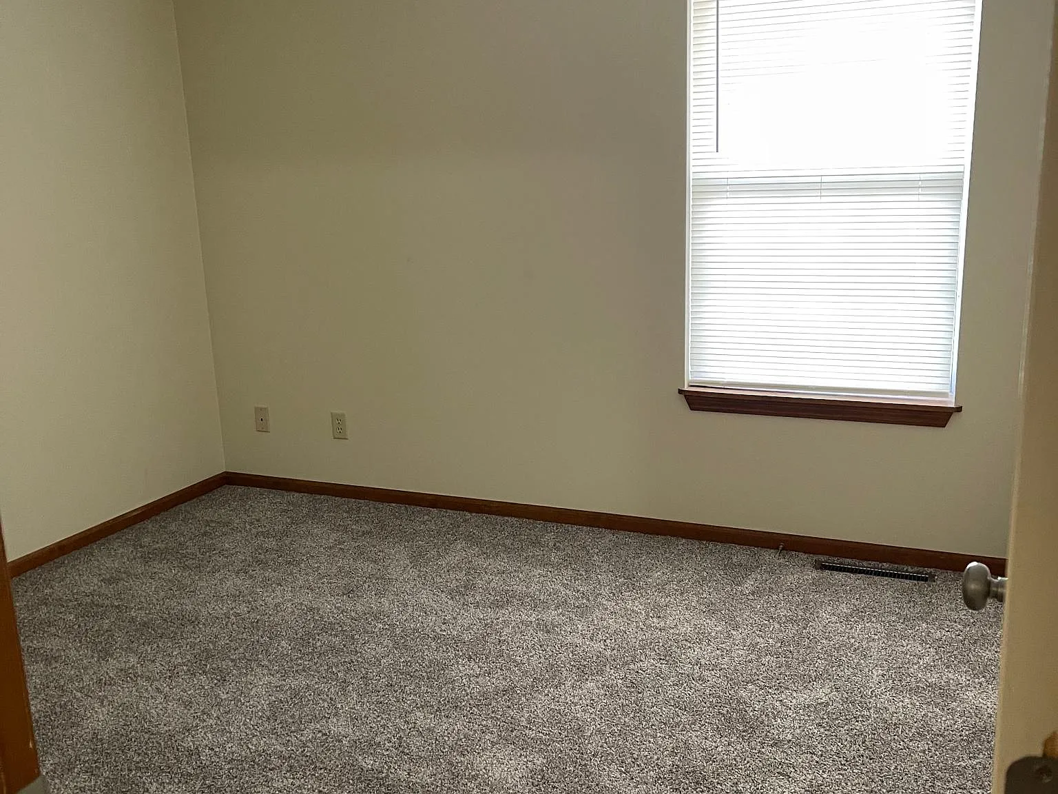 2404 Hollyhock Dr — Photo 4