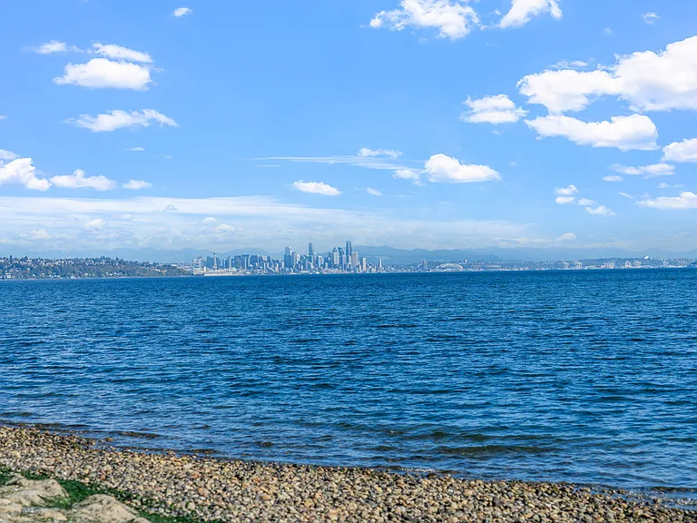 A view of Seattle in the distance.