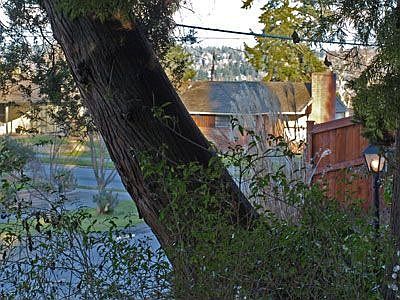 with view of Mercer Island past Seward Park Avenue
